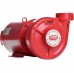 Bomba de Incêndio THEBE/ WEG Thsi-18 3Cv Trifásico 220v/380v