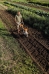 MOTOCULTIVADOR STIHL MH-710 